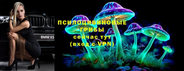 МДПВ Бронницы