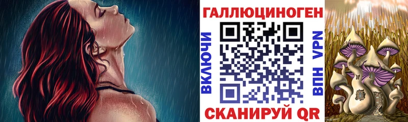 даркнет сайт  Череповец  Галлюциногенные грибы MAGIC MUSHROOMS 