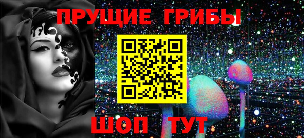 купить закладку  Галлюциногенные грибы прущие грибы  Вход с VPN  Череповец 